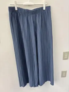 ブループリーツワイドパンツ 4L