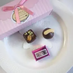 箱付き チョコレートマグネットセット【3】 食品サンプルフェイクスイーツ