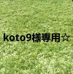 koto9様専用☆