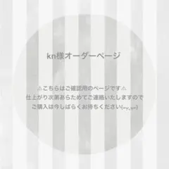 kn様 オーダーページ ෆ̈ ぬい服 いつぬい