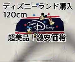 ディズニーランド 購入 Tシャツ BABYDOLL ミッキー GAP H＆M
