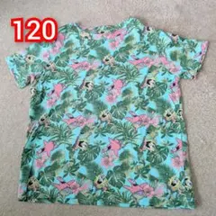 Item thumbnail for item 5912cac6-b71c-4bd2-b1a4-681d4063e482