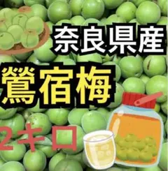奈良県産 鶯宿梅 2kg 青梅のサムネイル