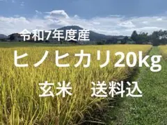 期間限定‼️令和7年度産ヒノヒカリ20kg(玄米)送料込のサムネイル