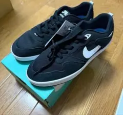 NIKE SB ALLEYOOP スニーカー 26.5cmのサムネイル