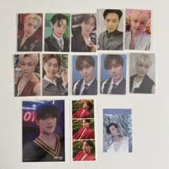 SEVENTEEN ディノ　13枚セット