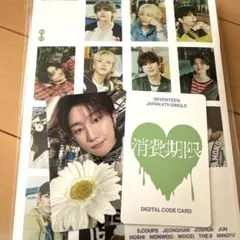 SEVENTEEN 消費期限 Carat盤 the8