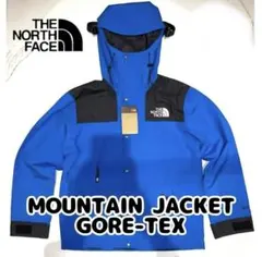 THE NORTH FACE GTX MOUNTAIN JACKET 2【L】
