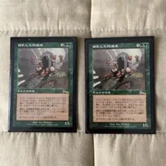 2026年最新】錯乱した隠遁者の人気アイテム - メルカリ