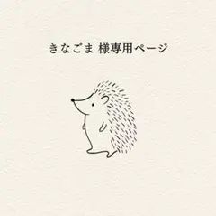 きなごま様 リクエスト 2点 まとめ商品
