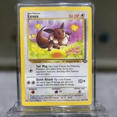 2026年最新】ポケモンカードイーブイ海外版の人気アイテム - メルカリ