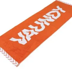 【未開封】VAUNDY マフラータオル 2026年最新】vaundyタオルの人気アイテム - メルカリ