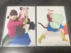 【2枚セット】松ステ3 舞台 おそ松さん ブロマイド