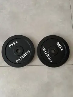 2026年最新】ファイティングロード プレートの人気アイテム - メルカリ