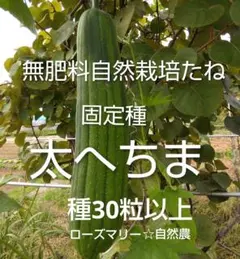 そら様 リクエスト 3点 まとめ商品