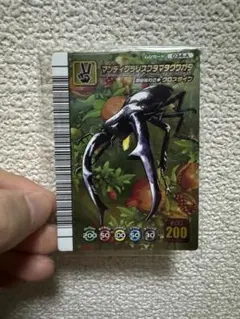 アクティオンゾウカブト 5周年記念 ハードコーティング アクティオンゾウカブト 5周年記念 ハードコーティング キラズレ