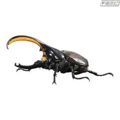 いきもの大図鑑アドバンス ヘラクレスオオカブト セプテントリオナリス カプセル版
