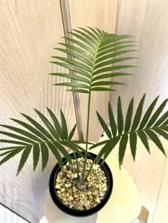 2025年最新】ディオーンの人気アイテム - メルカリ