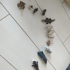 動物顎シリーズ