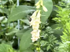 Non Tan 断捨離中！様 リクエスト 3点 まとめ商品