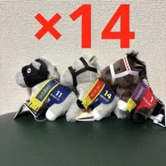 サラブレッドコレクション ぷちマスコットボールチェーン 3種42点セット