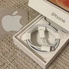 iPhone 充電器 純正 タイプCライトニングケーブル Apple正規品