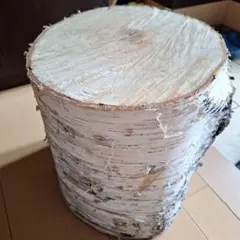最終値下げ‼️ニトリ　切り株　クッション　丸太　木 最終値下げ‼️ニトリ 切り株 クッション 丸太 木 - メルカリ