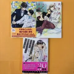 BL小説　海野幸　3冊 ①小説仕立てのラブレター②良き隣人の、③イケメンすぎる、