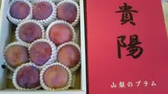 山梨県産すもも貴陽９個～１２個 　はなちゃん様専用