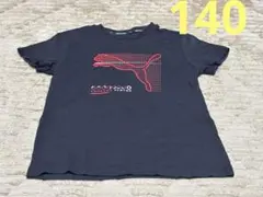 PUMA プーマ ジュニア Tシャツ 140