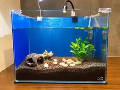 AQUA SYSTEM ガラス水槽 セット