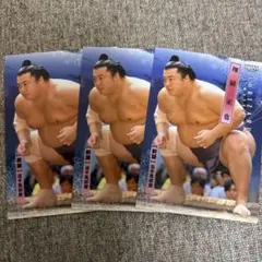 Item thumbnail for item d00aae36-7dcb-4f1a-99be-9ee25a71ff0e