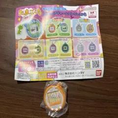たまごっち やんぐまめっち ミニチュアチャームコレクション4 ガチャ