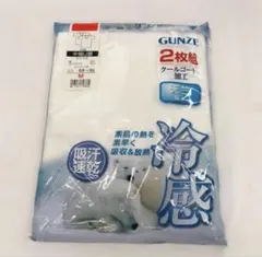 GUNZE インナーシャツ 吸汗速乾 冷感天竺 Uネック半袖 ハ1