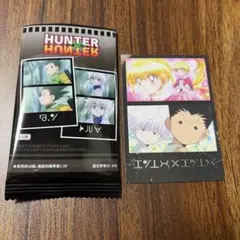 HUNTER×HUNTER 中国限定 チェキ風カード ゴン キルア