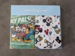 東京ディズニーリゾート ベビー用スタイ2枚セット