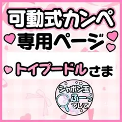 ☆テンプレ品オーダーページ☆カンペうちわ ファンサうちわ【デザインB