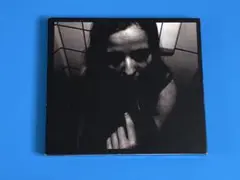 Sortsind/Vanvid (CD) デプレッシブ ブラックメタル rectangle_large_type_2_eb68924