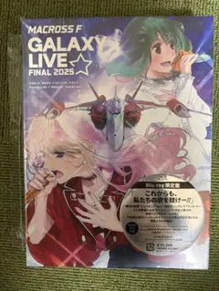 マクロスF ギャラクシーライブ 2025 特典B2タペストリー ソフマップ