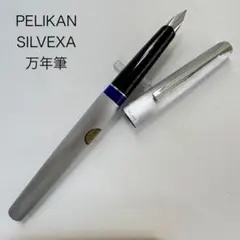 2026年最新】ペリカン silvexaの人気アイテム - メルカリ