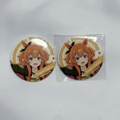 ウマ娘 マヤノトップガン 缶バッジ キャラバッジコレクション 2点