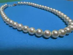 パール　ネックレス　silver