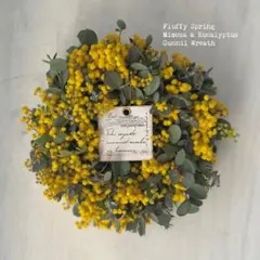 ちとせ様専用＊満開ミモザとユーカリ　こんもり春リース＊【季節限定】 №894