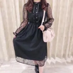 evelyn エブリン　総レースマキシOP ワンピース　　ブラック