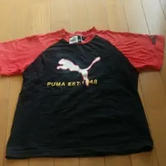 男児 Tシャツ140㎝ 2枚組み
