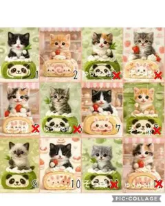 ロールケーキ♡ヨーキーちゃんトイプーちゃんetc.　オーダー受付ページ ロールケーキ♡ヨーキーちゃんトイプーちゃんetc. オーダー受付ページ