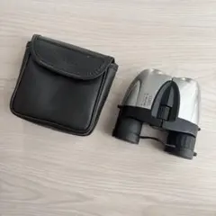 Item thumbnail for item 6f141ced-c155-4f64-afd6-4cf2fb25bd29