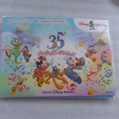 ディズニー★JCBカード 非売品　 ピンバッジ ミッキー