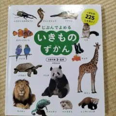 Item thumbnail for item 97a8e493-795d-48a8-b2d0-bc1589274fb4