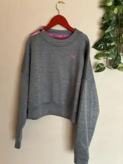 更にお値下げです‼️Puma trainingグレー クロップドスウェット